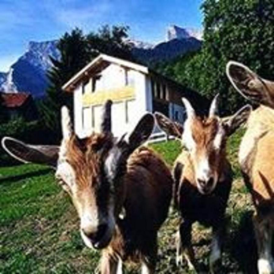 Hotel Restaurant Heidihof Maienfeld Exteriör bild